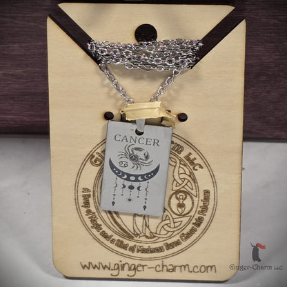 Necklace - Silver - Stainless Steel Rectangle Pendant - 20"Chain - Cancer
