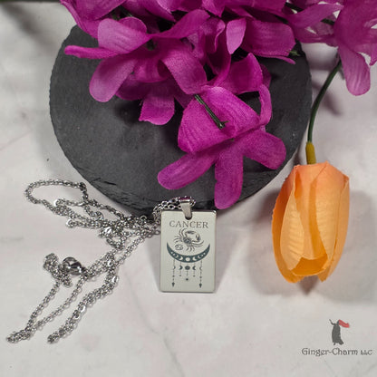 Necklace - Silver - Stainless Steel Rectangle Pendant - 20"Chain - Cancer