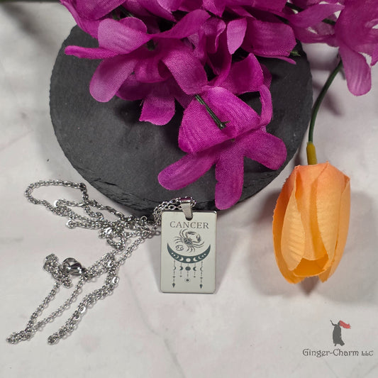 Necklace - Silver - Stainless Steel Rectangle Pendant - 20"Chain - Cancer